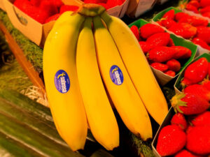 Banane "cavendish"