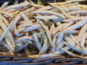 Haricots demi-sec