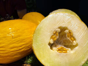 Melon canari