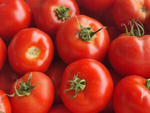 Tomate Rose