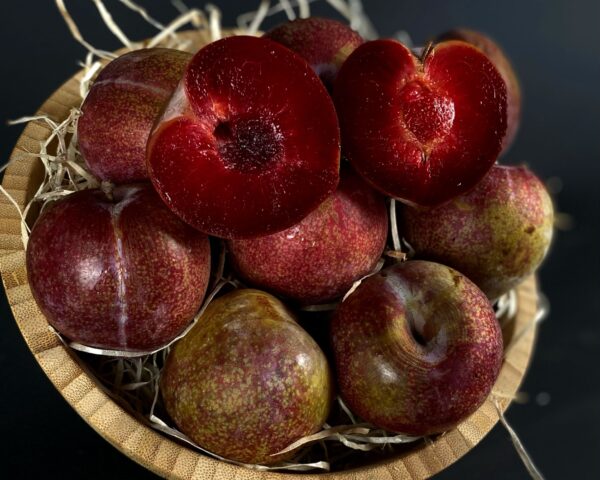 Prune lovita