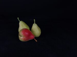 Poire Celina